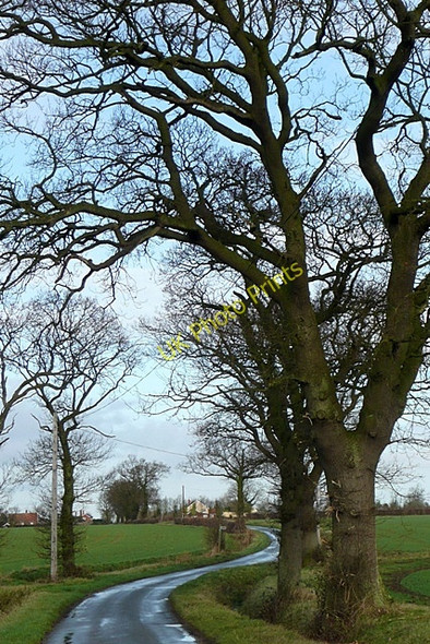 Photo 6"x4" Towards Aldous's Corner Spexhall c2009