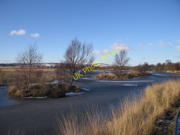 Photo 6"x4" Frozen bog pool, Cors Caron Nature Reserve Tregaron c2010