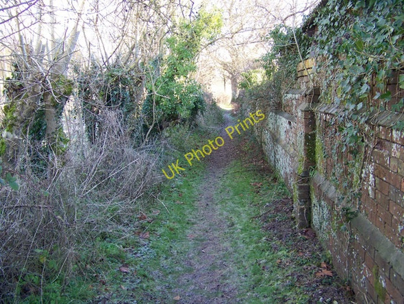Photo 6"x4" Footpath, Manswood Manswood c2010