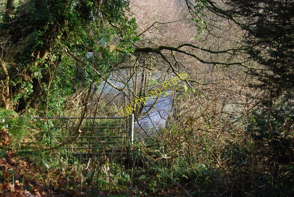 Photo 6"x4" Gate by the road to Lower Roadwater Beggearn Huish c2009