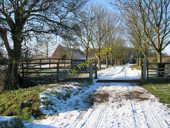 Photo 6"x4" Entrance to Hales Hall Hales Green\/TM3796 c2010