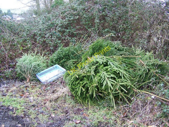 Photo 6"x4" Post Christmas flytip, Odstock Odstock c2010
