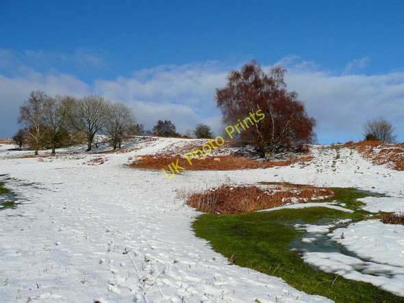 Photo 6"x4" Spring in winter on Garway Hill White Rocks c2010