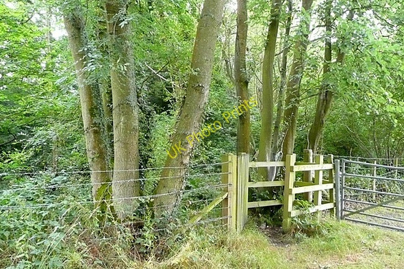 Photo 6"x4" Entrance to Calleva Mortimer West End c2009