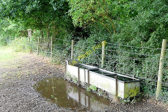 Photo 6"x4" Outside Calleva Mortimer West End c2009