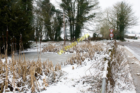 Photo 6"x4" Pond beside Hazeley Road Morestead c2010