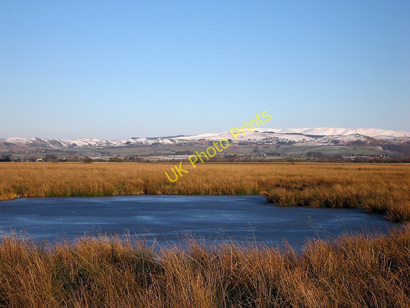 Photo 6"x4" Frozen pond, Cors Caron Nature Reserve Swyddffynnon c2010