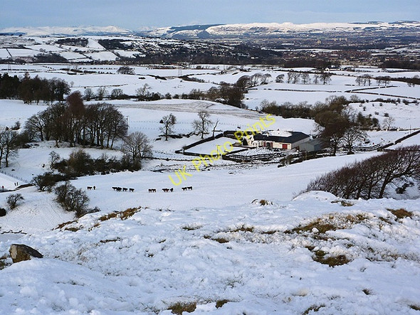 Photo 6"x4" Snowy scene at Glanderston Mains Barrhead c2010