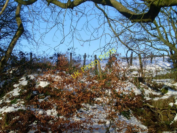 Photo 6"x4" Boundary fence at Killoch Glen Gateside\/NS4858 c2010