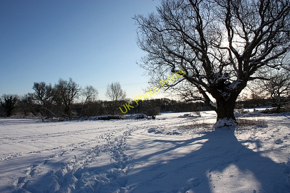 Photo 6"x4" St Wulstan's Nature Reserve in the snow Marl Bank c2010