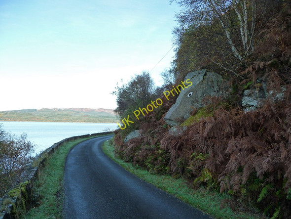 Photo 6"x4" Painted rock beside  Loch Fyne Largiemore\/NR9486 c2009