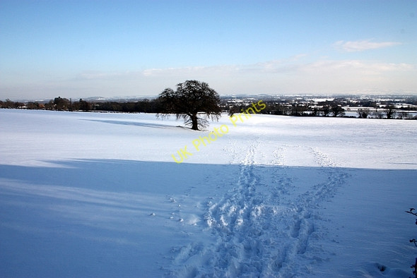 Photo 6"x4" Snow covered North Field, Little Malvern Upper Welland c2010