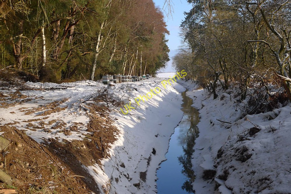 Photo 6"x4" Burn by Meikleour Wood Rosemount\/NO1943 c2010