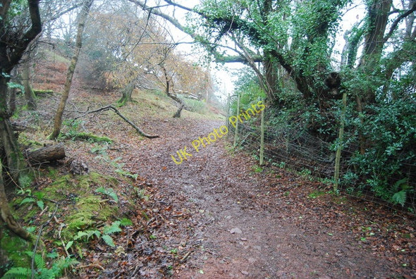 Photo 6"x4" The Coleridge Way, Bicknoller Hill Bicknoller c2009