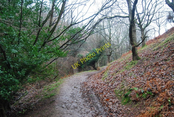 Photo 6"x4" Macmillan Way West, Bicknoller Combe Bicknoller c2009