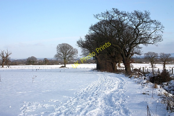 Photo 6"x4" Bridleway to Hanley Swan Brand Green\/SO7641 c2010