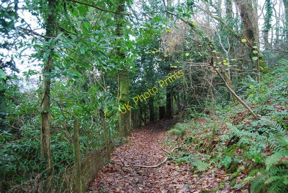 Photo 6"x4" Footpath to Porlock Porlock Weir c2009
