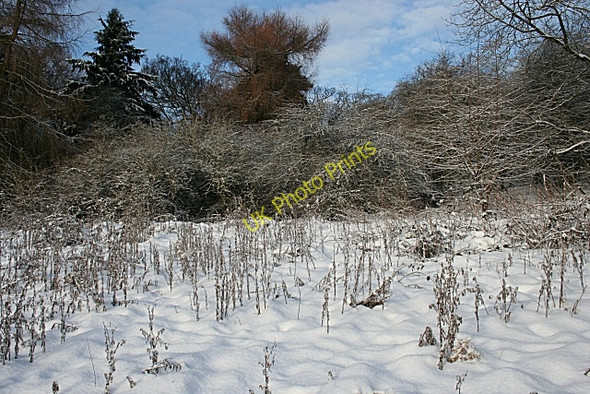 Photo 6"x4" Corstorphine Hill Murrayfield\/NT2173 c2010