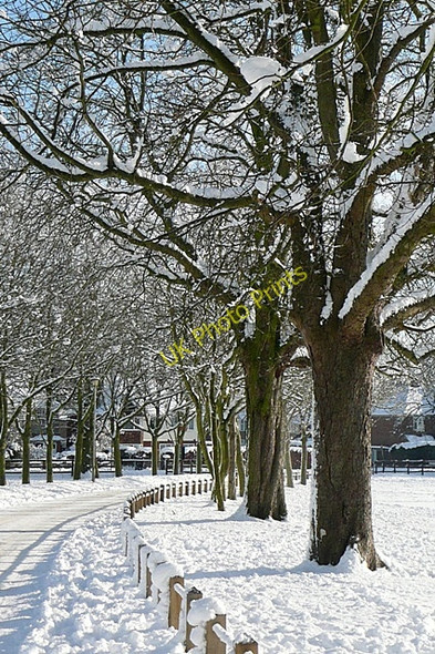 Photo 6"x4" Prospect Park Reading c2010