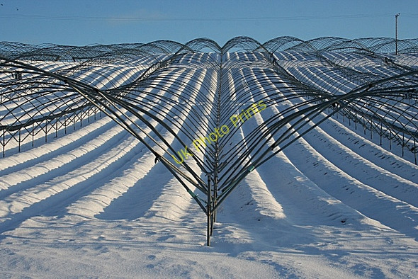 Photo 6"x4" Polytunnels at Kinfauns Kinfauns c2010