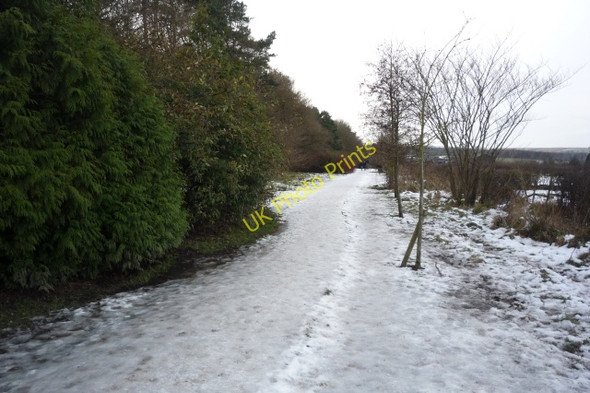 Photo 6"x4" Path to Harlow Carr Harrogate c2009