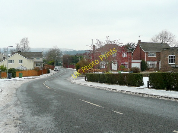 Photo 6"x4" Bryn Derwen Road Radyr c2010