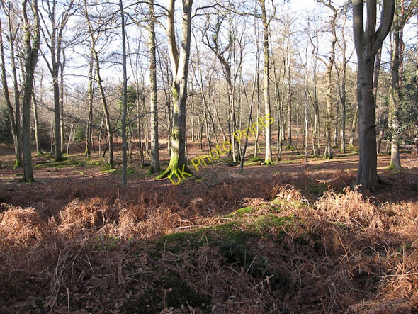Photo 6"x4" Parkhill Inclosure Balmerlawn c2010
