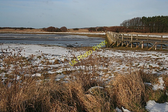 Photo 6"x4" Footbridge at Aberlady Aberlady c2010