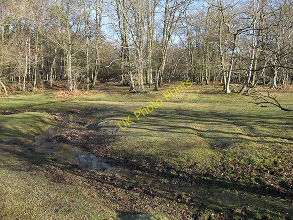 Photo 6"x4" Clayhill Heath Balmerlawn c2010