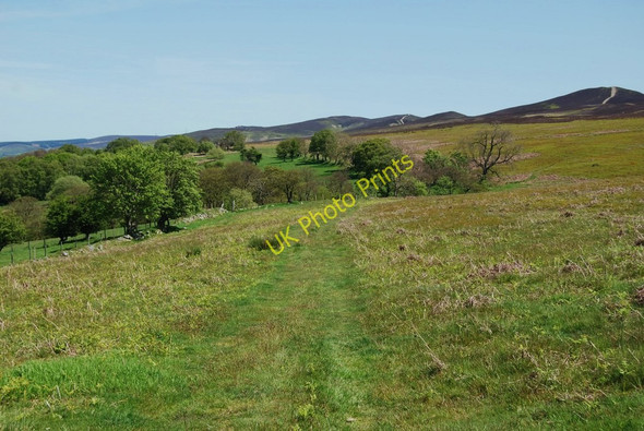 Photo 6"x4" Taith Clwyd cutting the corner Morfydd c2009