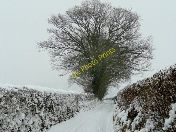Photo 6"x4" Pinford Lane in snow 1 Bromsash c2010