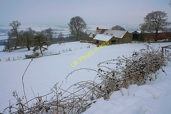 Photo 6"x4" Chapel Wood Farm Osmotherley c2010