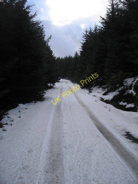 Photo 6"x4" Forest track south of Bwlch Rhyd-y-Meirch Esgair Llyn-du c2010