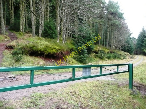 Photo 6"x4" Barrier in Mynydd Du Forest Capel-y-ffin c2008