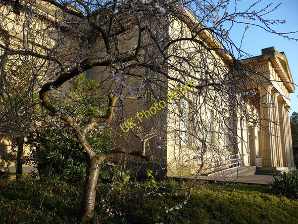 Photo 6"x4" Autumn Cherry outside Yorkshire Museum York\/SE5951 c2009