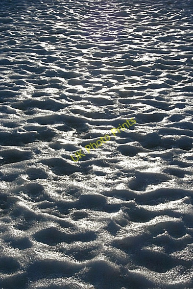 Photo 6"x4" A Thousand Footprints Fochabers c2010