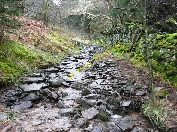 Photo 6"x4" Path or stream? Llanthony c2008