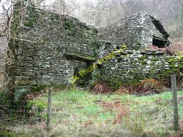 Photo 6"x4" Ruined farmstead Llanthony c2008