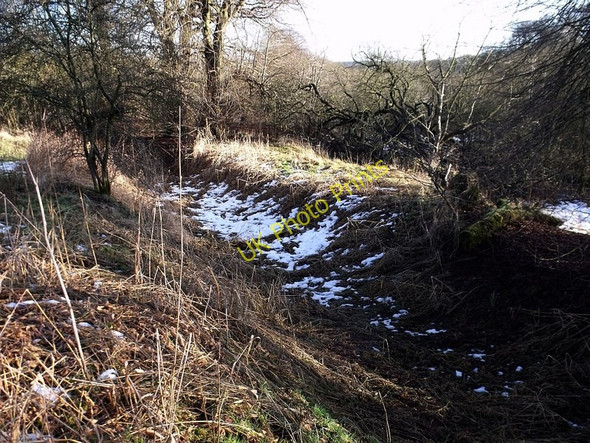 Photo 6"x4" Dried up lade Castlecary c2010