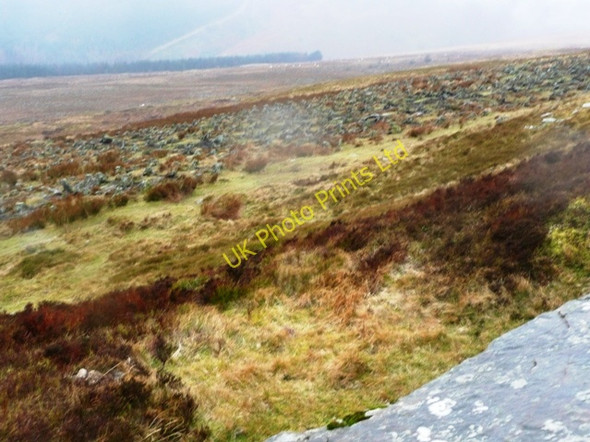Photo 6"x4" Evidence of forestry Capel-y-ffin c2008