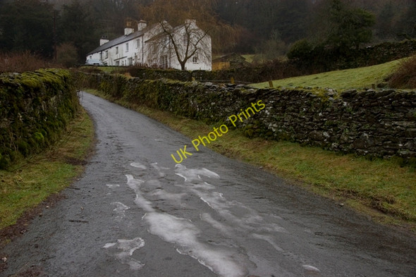 Photo 6"x4" The lane to Great Hartbarrow Hartbarrow c2010