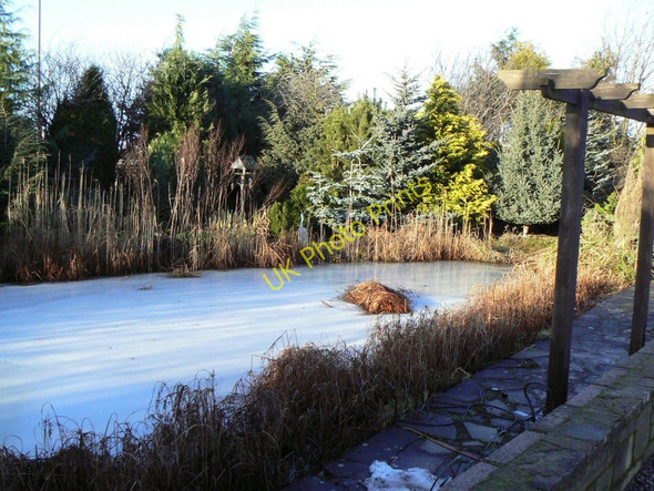 Photo 6"x4" Frozen ornamental pond Freuchie c2010