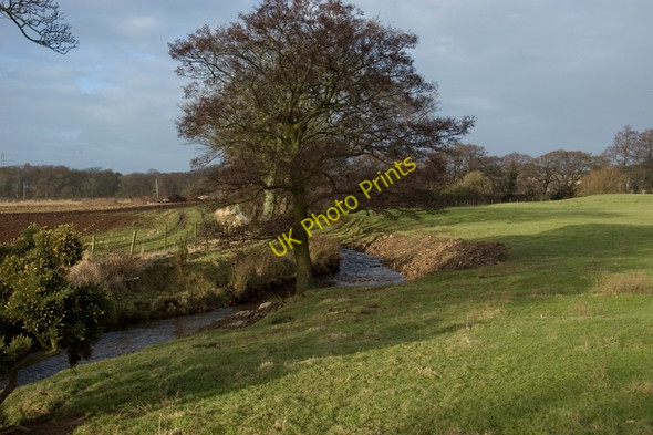 Photo 6"x4" Grizedale Brook Cabus c2010