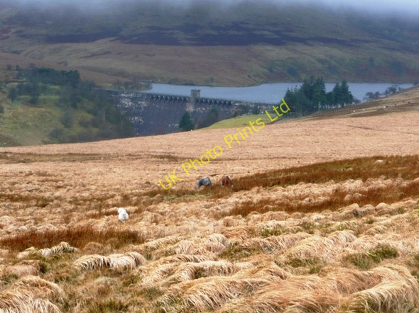 Photo 6"x4" Towards Gwryne Fawr reservoir Capel-y-ffin c2008