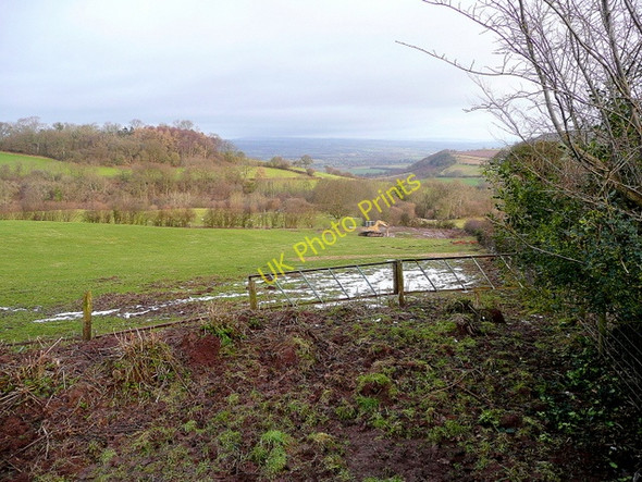 Photo 6"x4" View down the Bach Dingle Newton\/SO2943 c2010