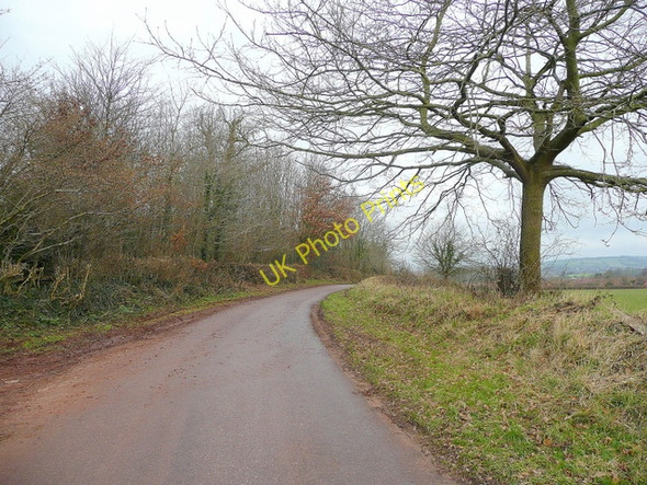 Photo 6"x4" Lane to Columbjohn Columbjohn c2010