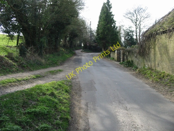 Photo 6"x4" Looking SW along Homestead Lane Studdal c2008