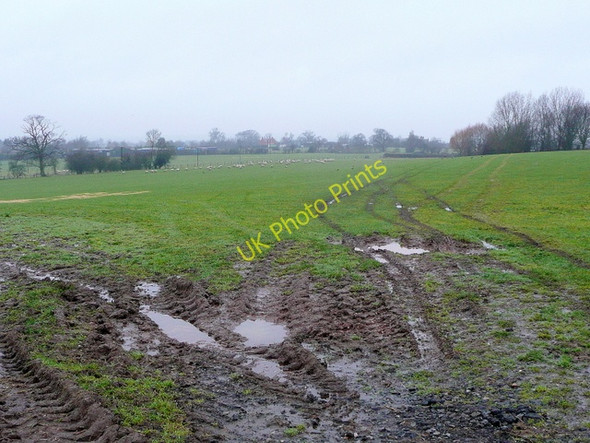 Photo 6"x4" Pastoral Worcestershire Martin Hussingtree c2010