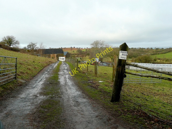 Photo 6"x4" Track to Hillhole Farm Westbrook\/SO2843 c2010