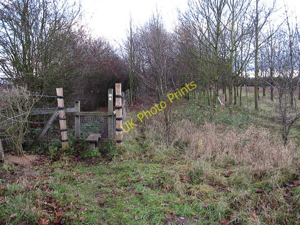 Photo 6"x4" Footpath to Red Lodge Red Lodge\/TL6970 c2009